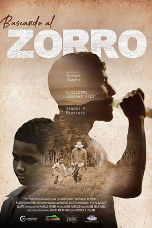 buscando al zorro buscando al zorro