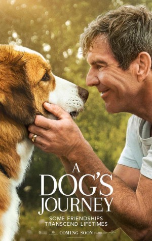 a_dog_s_journey a_dog_s_journey