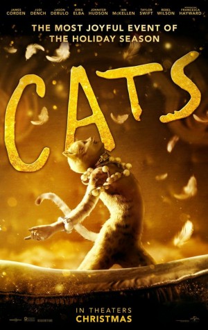 cats cats